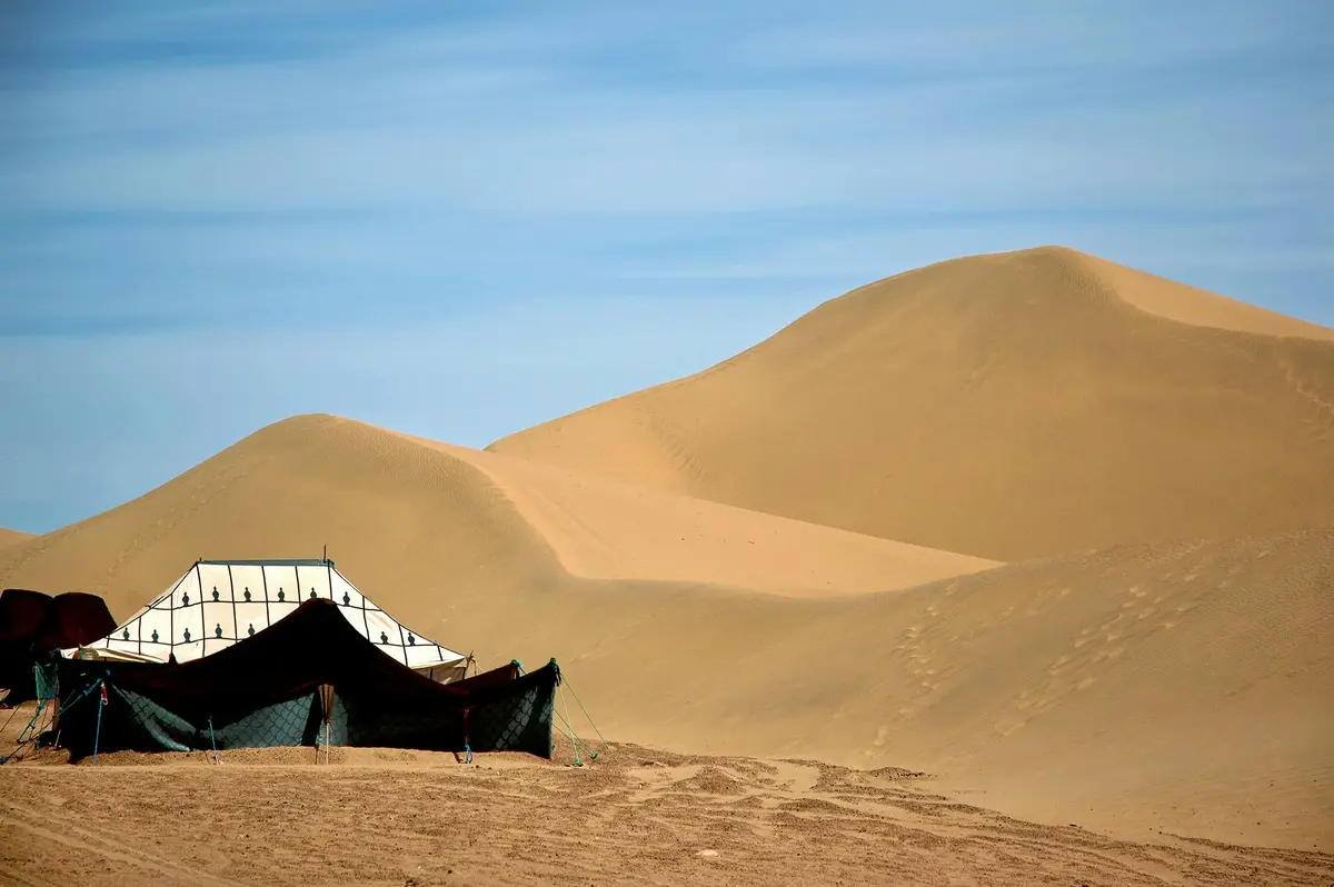 Standard Desert Camp